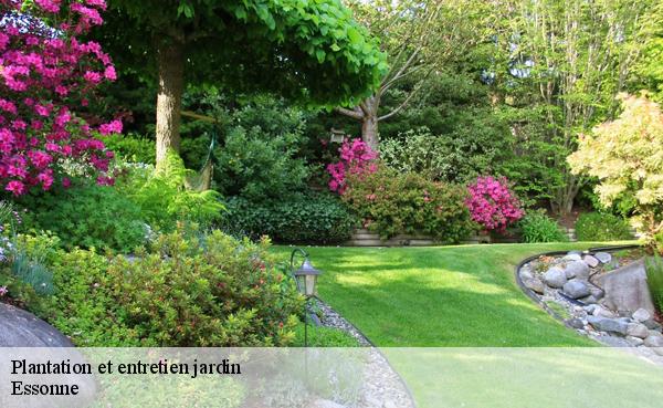 Plantation et entretien jardin Essonne 