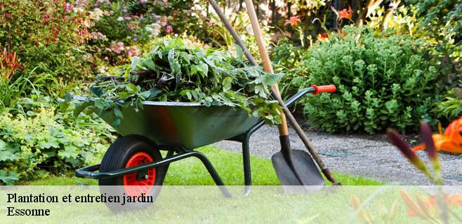 Plantation et entretien jardin Essonne 