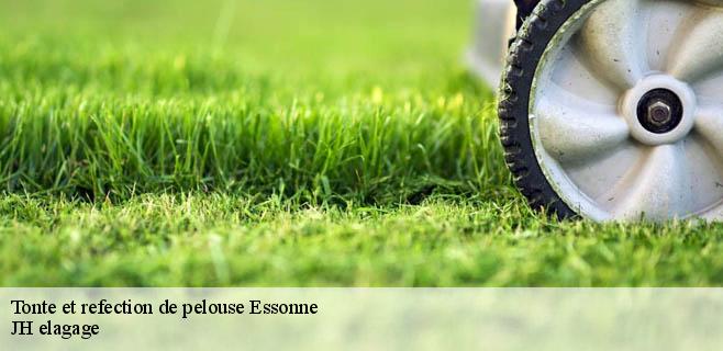 Tonte et refection de pelouse 91 Essonne JH elagage
