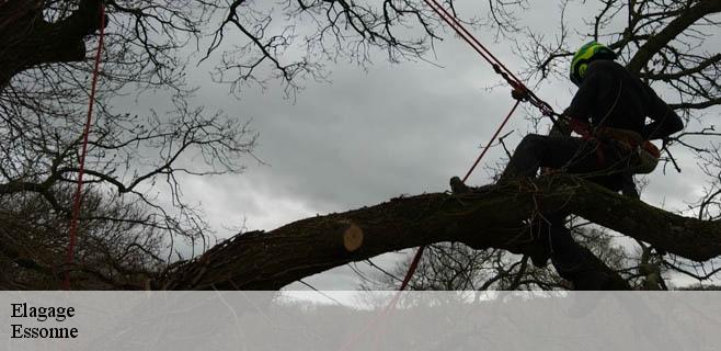 Elagage Essonne