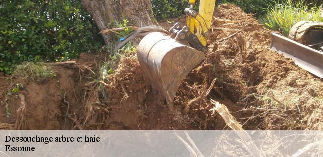Dessouchage arbre et haie Essonne