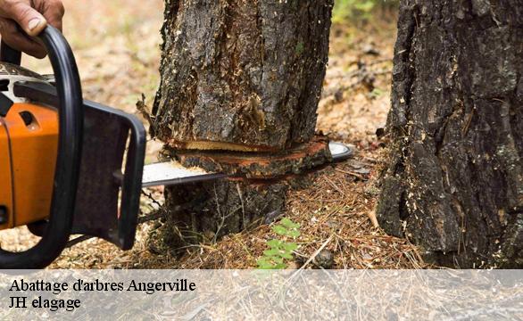 Abattage d'arbres  angerville-91670 JH elagage