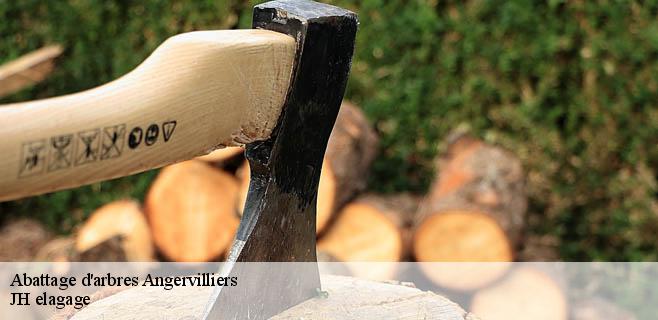 Abattage d'arbres  angervilliers-91470 JH elagage