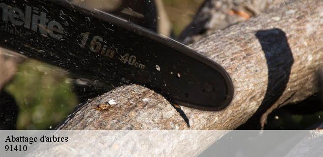 Abattage d'arbres 91410