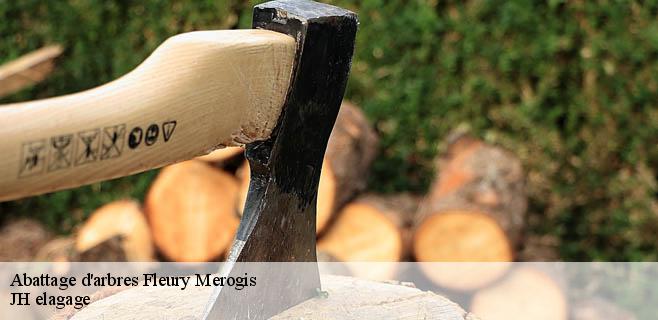 Abattage d'arbres  fleury-merogis-91700 JH elagage