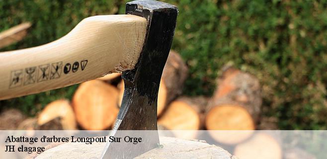 Abattage d'arbres  longpont-sur-orge-91310 JH elagage