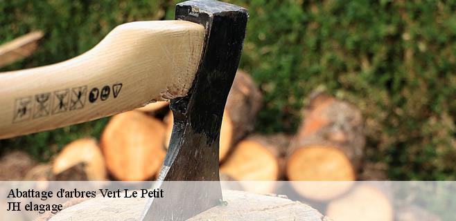 Abattage d'arbres  vert-le-petit-91710 JH elagage