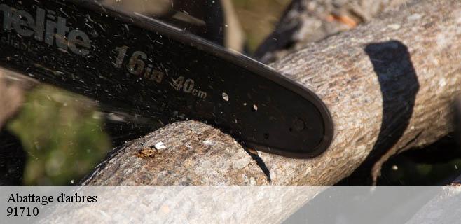 Abattage d'arbres 91710