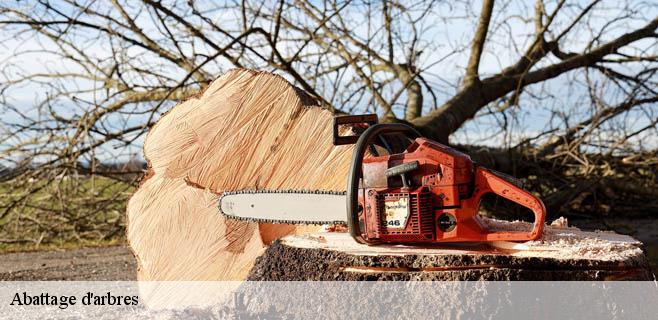Abattage d'arbres 91710