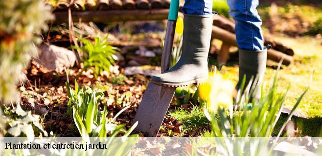 Plantation et entretien jardin  91870