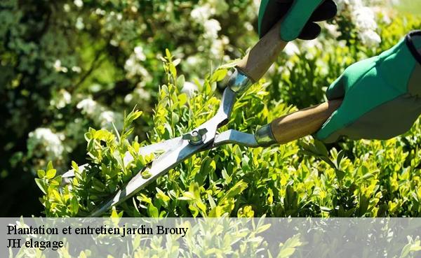 Plantation et entretien jardin  brouy-91150 JH elagage