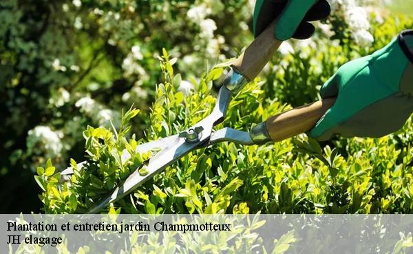 Plantation et entretien jardin  champmotteux-91150 Mayer Elagage