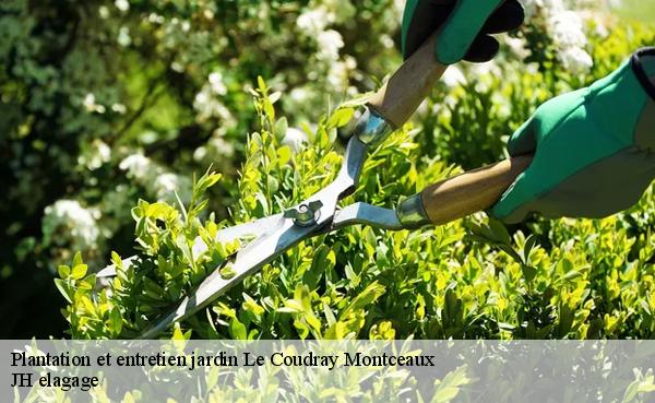 Plantation et entretien jardin  le-coudray-montceaux-91830 JH elagage
