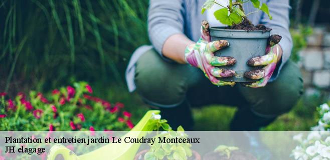 Plantation et entretien jardin  le-coudray-montceaux-91830 JH elagage