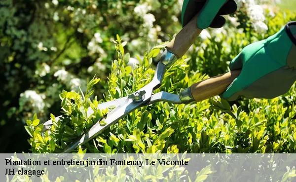 Plantation et entretien jardin  fontenay-le-vicomte-91540 JH elagage