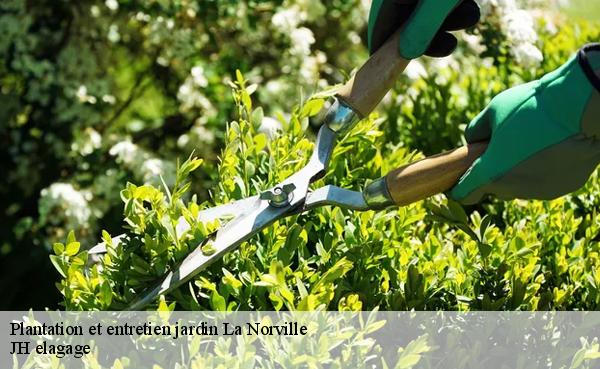 Plantation et entretien jardin  la-norville-91290 JH elagage