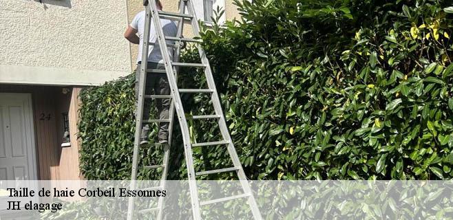 Taille de haie  corbeil-essonnes-91100 JH elagage