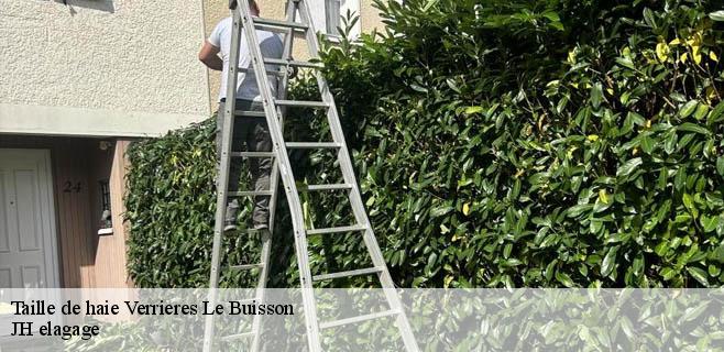 Taille de haie  verrieres-le-buisson-91370 JH elagage