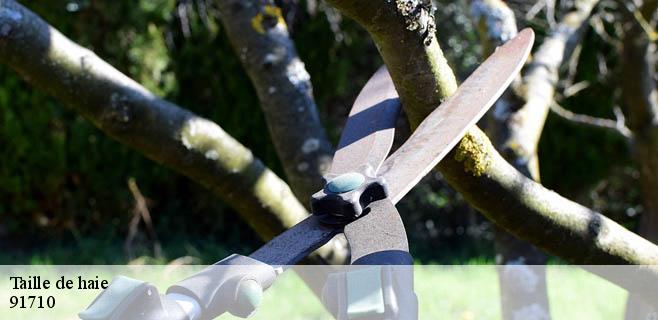 Taille de haie 91710