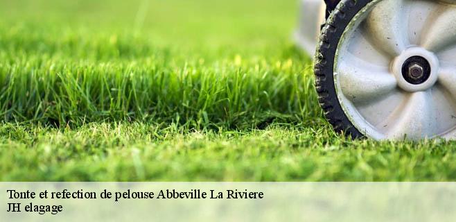 Tonte et refection de pelouse  abbeville-la-riviere-91150 JH elagage