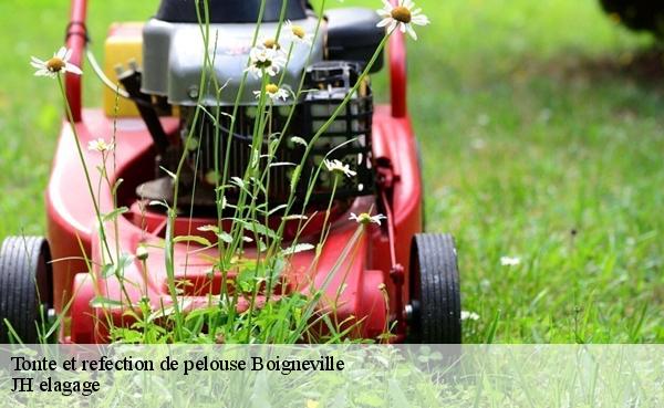 Tonte et refection de pelouse  boigneville-91720 JH elagage