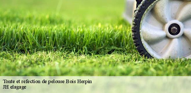 Tonte et refection de pelouse  bois-herpin-91150 JH elagage