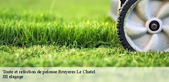 Tonte et refection de pelouse bruyeres-le-chatel-91680 JH elagage