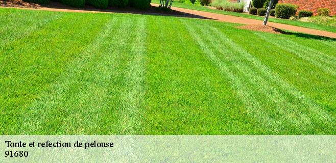 Tonte et refection de pelouse 91680