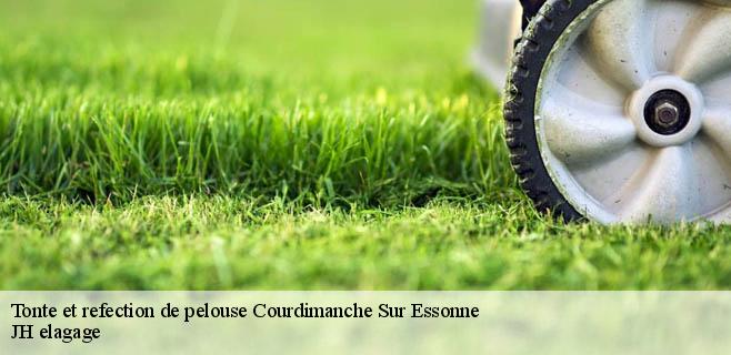 Tonte et refection de pelouse  courdimanche-sur-essonne-91720 JH elagage