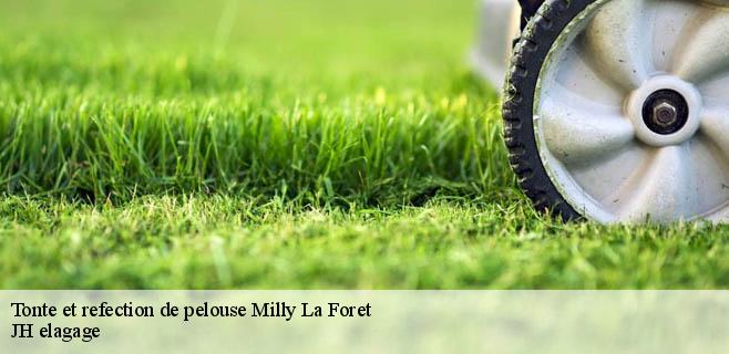 Tonte et refection de pelouse milly-la-foret-91490 JH elagage