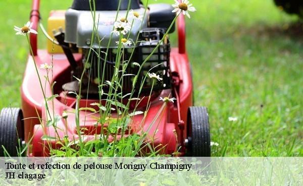 Tonte et refection de pelouse  morigny-champigny-91150 JH elagage