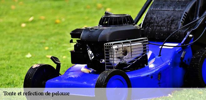 Tonte et refection de pelouse 91250