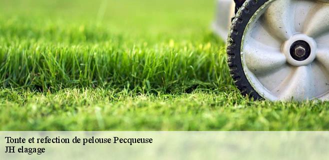 Tonte et refection de pelouse  pecqueuse-91470 JH elagage