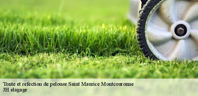 Tonte et refection de pelouse saint-maurice-montcouronne-91530 JH elagage