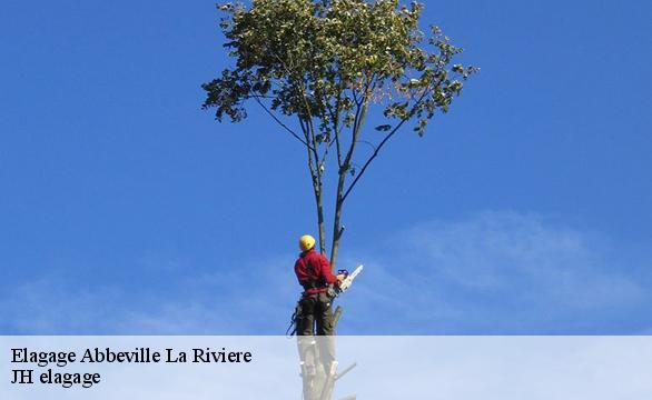 Elagage  abbeville-la-riviere-91150 JH elagage