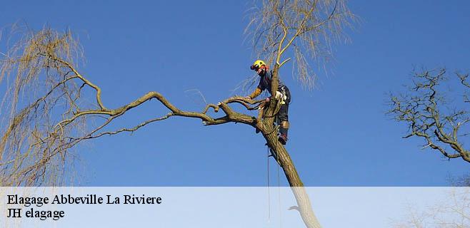 Elagage  abbeville-la-riviere-91150 JH elagage