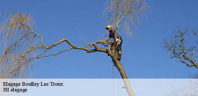 Elagage boullay-les-troux-91470 JH elagage