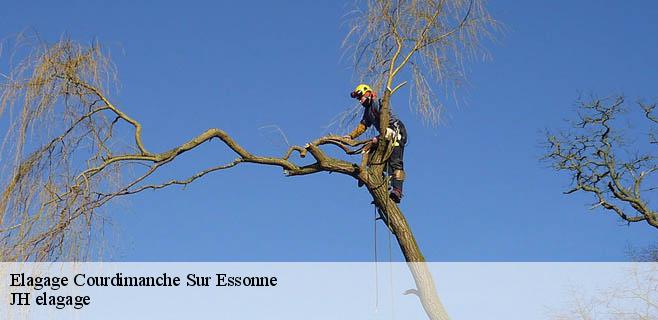 Elagage courdimanche-sur-essonne-91720 JH elagage