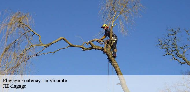 Elagage  fontenay-le-vicomte-91540 JH elagage