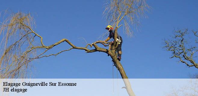 Elagage  guigneville-sur-essonne-91590 JH elagage