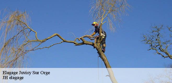 Elagage juvisy-sur-orge-91260 JH elagage