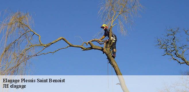 Elagage plessis-saint-benoist-91410 JH elagage