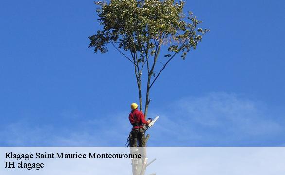 Elagage  saint-maurice-montcouronne-91530 JH elagage