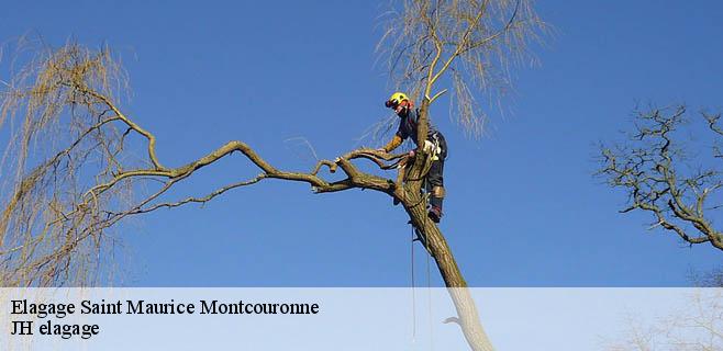 Elagage saint-maurice-montcouronne-91530 JH elagage
