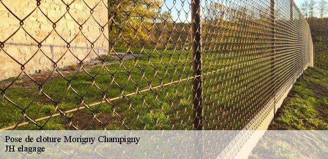 Pose de cloture morigny-champigny-91150 Mayer Elagage