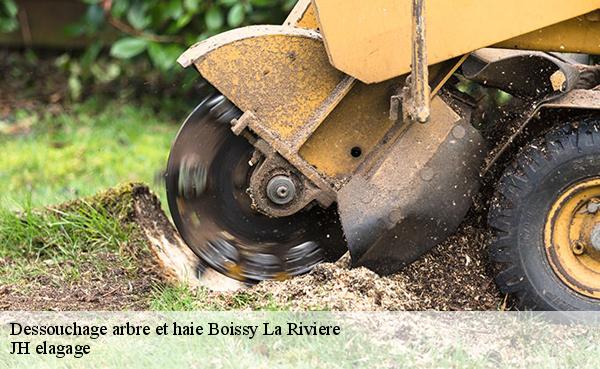 Dessouchage arbre et haie  boissy-la-riviere-91690 JH elagage