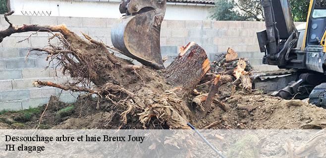 Dessouchage arbre et haie  breux-jouy-91650 JH elagage