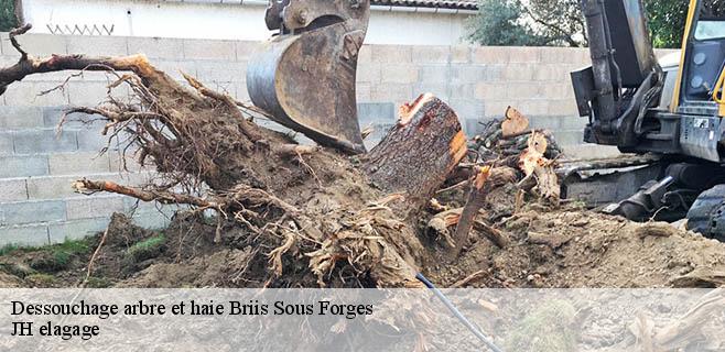 Dessouchage arbre et haie briis-sous-forges-91640 JH elagage