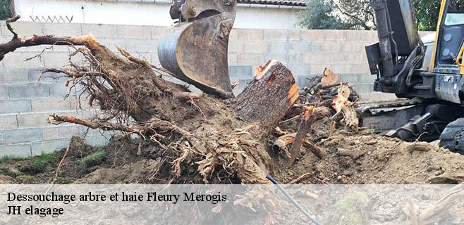 Dessouchage arbre et haie fleury-merogis-91700 JH elagage