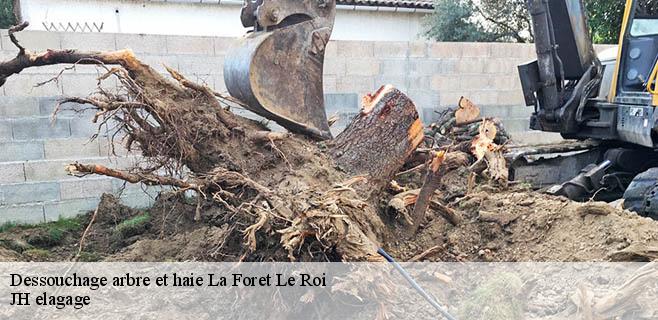 Dessouchage arbre et haie la-foret-le-roi-91410 JH elagage